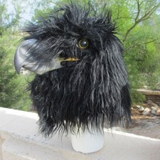 Adult black eagle for sale  Tucson
