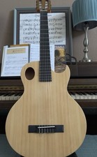 Washburn festival chitarra usato  Spedire a Italy