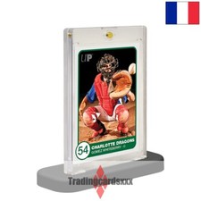 Ultra pro lot d'occasion  Frépillon