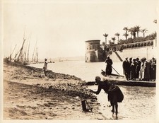 Rhoda island egypt for sale  Raleigh