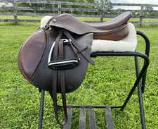 Pessoa pony kids for sale  Adamstown