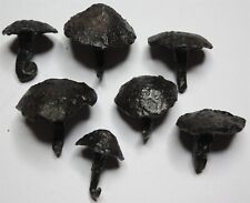Roma Antiga Ferro Sapato Prego 7x AUTÊNTICA GENUÍNA Restaurado 100-400 Ad #N02 comprar usado  Enviando para Brazil