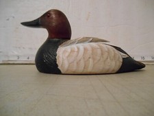 Canvas back duck for sale  Sharon
