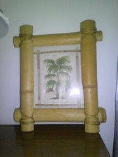 Beautiful bamboo frame for sale  Huntington