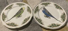 Budgie winning plates for sale  BURY