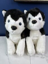 Lapland husky siberian for sale  DERBY