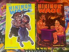 Usado, Lote de Quadrinhos Fantagraphics 1996 Salário Mínimo Volume 2 #5 e 6 comprar usado  Enviando para Brazil