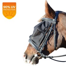 Equestrian horse riding for sale  BROXBOURNE