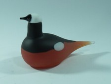 Designer glasvogel iittala gebraucht kaufen  Deutschland