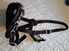 Lunge cavesson cob for sale  TELFORD
