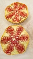 Rare azadi pomegranate for sale  Fresno