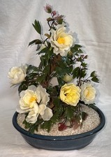 Vintage glass yellow for sale  Turlock