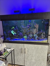 4ft glass tank for sale 4ft glass tank for sale CIRENCESTER