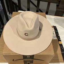 Charlie horse women for sale  Aurora