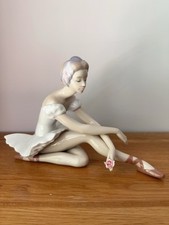 ballerina rose for sale ballerina rose for sale SUTTON COLDFIELD