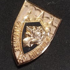 C13m insigne militaire d'occasion  Saint-Jean-en-Royans
