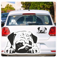 Autoaufkleber mops pug gebraucht kaufen  Darmstadt