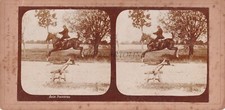 Stereoview bei traineren usato  Roma