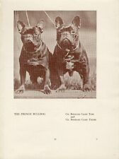 BULDOGUE FRANCÊS ANTIGO VINTAGE 1934 NOMEADO CÃO SÉPIA PÁGINA DE IMPRESSÃO comprar usado  Enviando para Brazil