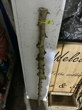 Hazel twisty twistie for sale  SOUTH MOLTON