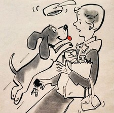 1956 swift dog for sale  Cambridge
