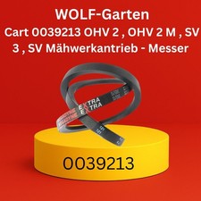 Keilriemen wolf cart gebraucht kaufen  Preetz