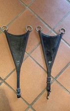 Passier martingalgabel geschlo gebraucht kaufen  Meckenheim