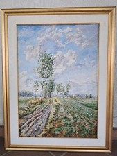 Alvaro cattaneo 50x70 usato  Vittuone