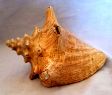 Large natural gold for sale  Knox