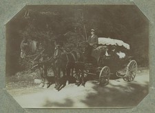 Attelage hippomobile. voiture d'occasion  Montargis