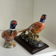 pheasant for sale pheasant for sale KIDDERMINSTER