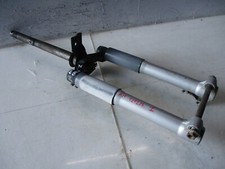 Forcella steli stelo usato  Napoli