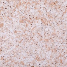 BIOPLAST Tynk Japoński 968 płynna tapeta 4 m2 na sprzedaż  PL