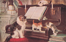 Henriette ronner cat for sale  BLAIRGOWRIE