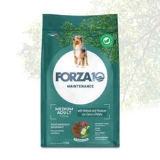 Forza adult medium usato  Carate Brianza