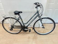 Giant expression hybrid for sale  LEICESTER