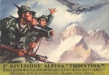 Alpini 2ª divisione usato  Rovigo