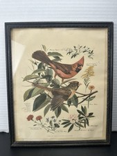 Vintage 1950 arthur for sale  Glidden