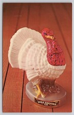 White tom turkey for sale  Fort Wayne