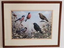 Mark chester wildlife for sale  WYMONDHAM