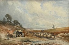 Shepherd grazing sheep for sale  LONDON