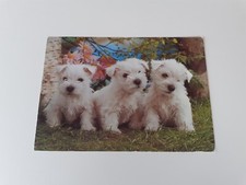 Postkarte gelaufen kleine gebraucht kaufen  Düsseldorf