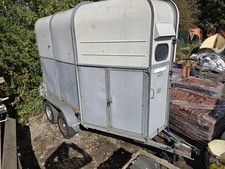 Horse box trailer for sale  TADCASTER