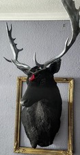 Black fallow deer for sale  Kyle