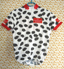 Maillot cycliste pruneaux d'occasion  Arles