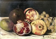 Giorgio lucchesi natura usato  Lucca