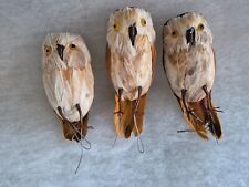 Natural feathered owl for sale  LEICESTER