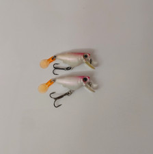 Zuri aile goby for sale  Louisville