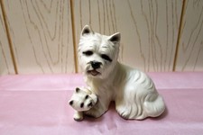 Westie white terrier for sale  Pekin