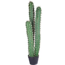 Artificial cactus 38.1 for sale  Brentwood